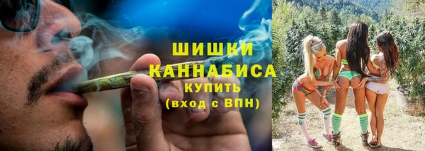 соль ск Переславль-Залесский