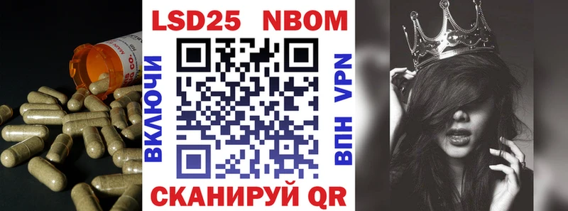 hydra как войти  Щучье  Лсд 25 экстази кислота 